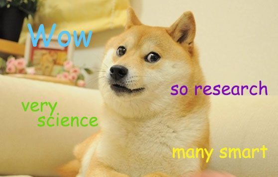 Doge meme